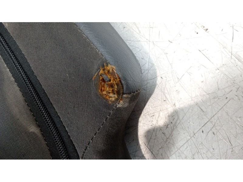 Recambio de juego asientos completo para citroën saxo 1.4 vts referencia OEM IAM saxo vts  