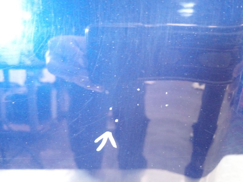 Recambio de capot para fiat 500x (334_) 1.6 d multijet (334axa1b, 334axa11) referencia OEM IAM 52111389  