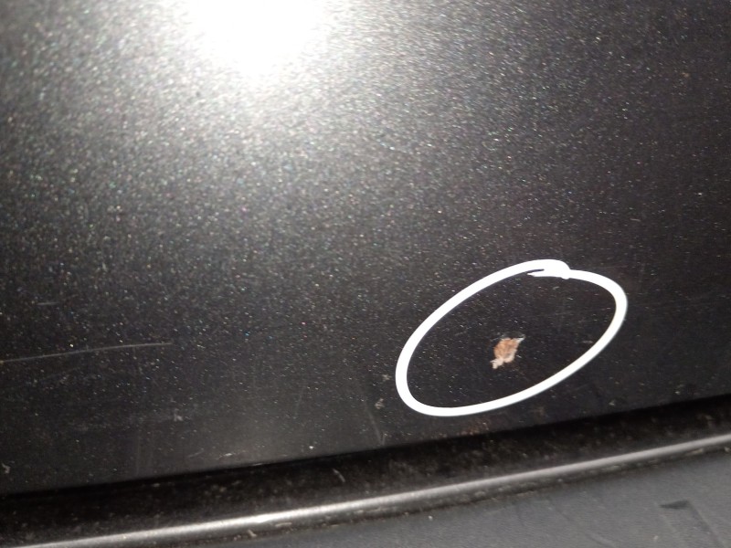 Recambio de porton trasero para volvo v50 (545) 1.6 d referencia OEM IAM 31218941  