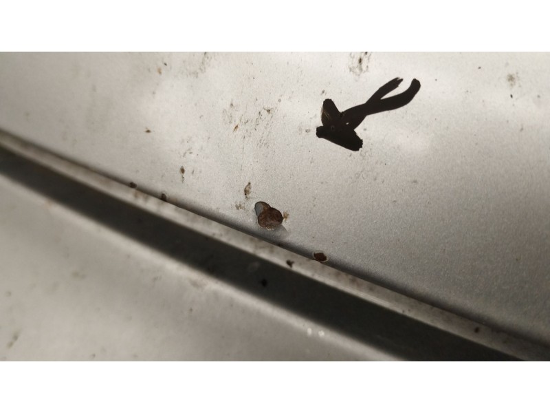 Recambio de capot para fiat 500 (312_) 1.2 (312axa1a) referencia OEM IAM   