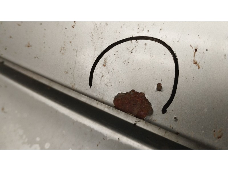 Recambio de capot para fiat 500 (312_) 1.2 (312axa1a) referencia OEM IAM   