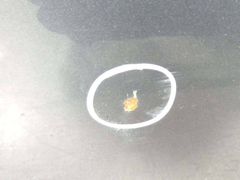 Recambio de porton trasero para volvo v50 (545) 1.6 d referencia OEM IAM 31218941  