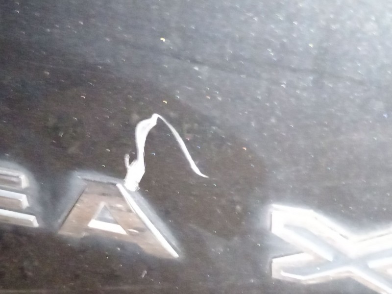 Recambio de porton trasero para seat altea xl (5p5, 5p8) 1.6 tdi referencia OEM IAM 5P0827024  