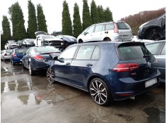 volkswagen golf vii (5g1, bq1, be1, be2) del año 2019