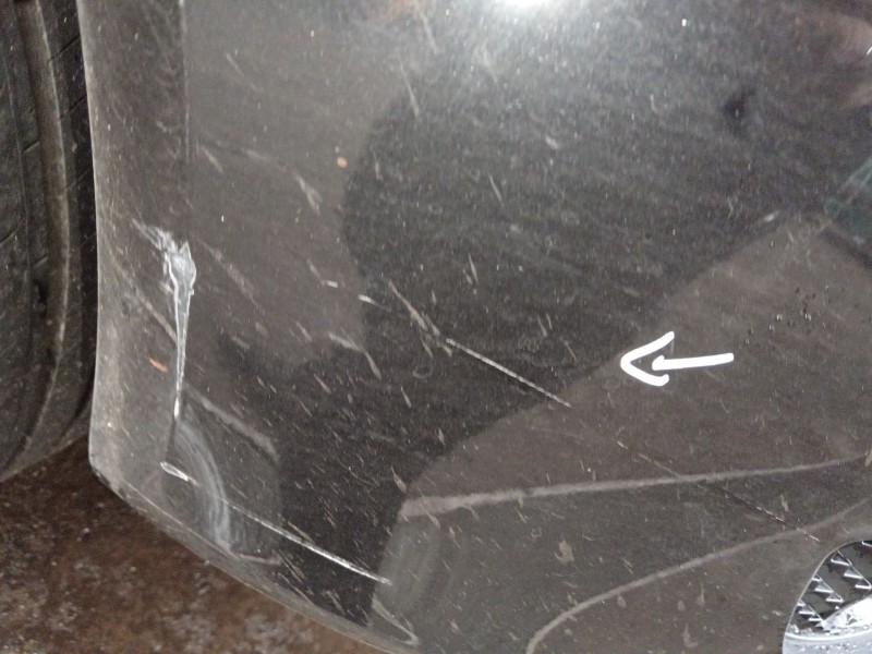 Recambio de paragolpes delantero para seat leon (1p1) 1.9 tdi referencia OEM IAM 1P0807221  