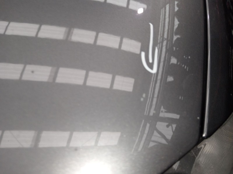 Recambio de capot para bmw 1 (e81) 116 d referencia OEM IAM   