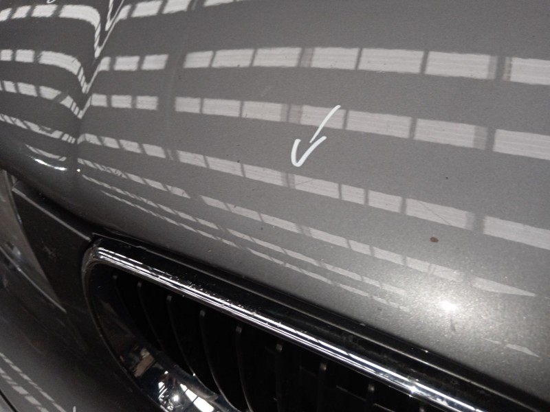 Recambio de capot para bmw 1 (e81) 116 d referencia OEM IAM   