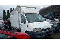 fiat ducato furgoneta (244_) del año 2006