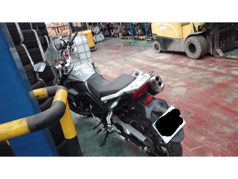 motron x-nord del año 2022