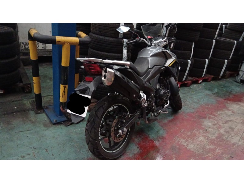 motron x-nord del año 2022