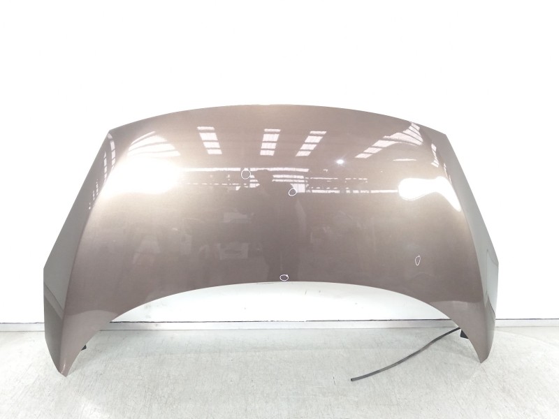 Recambio de capot para renault scénic iii (jz0/1_) 1.2 tce referencia OEM IAM 651008842R  