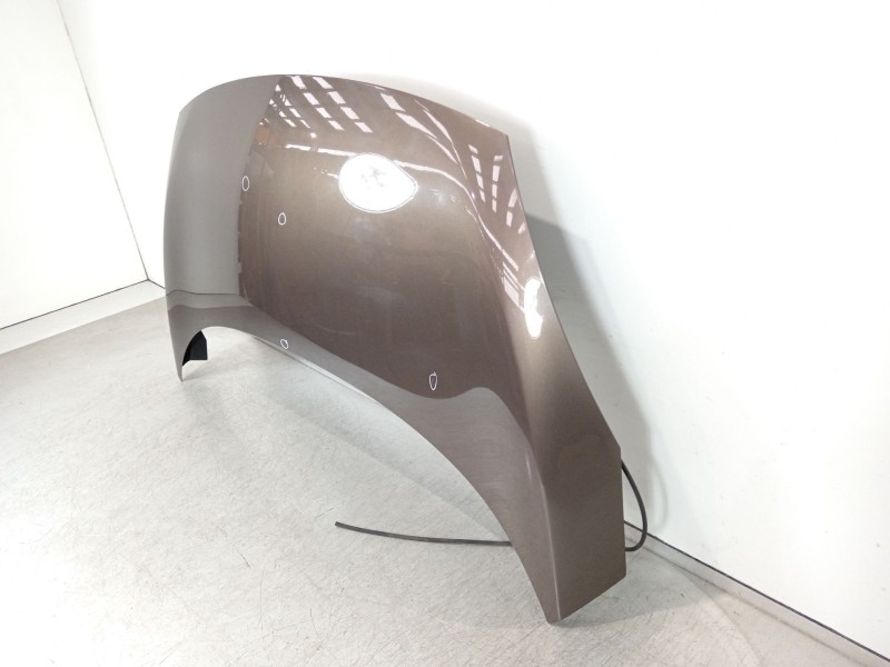 Recambio de capot para renault scénic iii (jz0/1_) 1.2 tce referencia OEM IAM 651008842R  