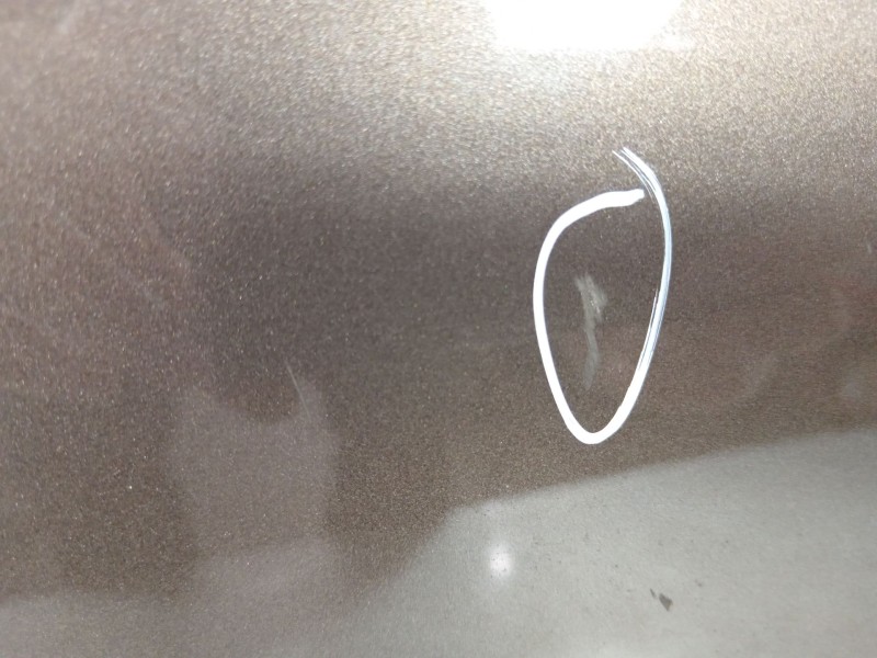 Recambio de capot para renault scénic iii (jz0/1_) 1.2 tce referencia OEM IAM 651008842R  