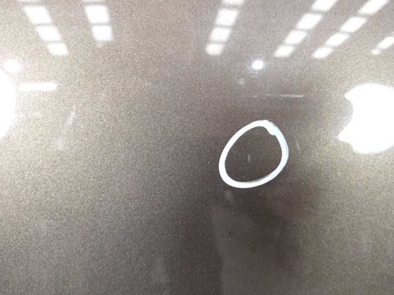 Recambio de capot para renault scénic iii (jz0/1_) 1.2 tce referencia OEM IAM 651008842R  