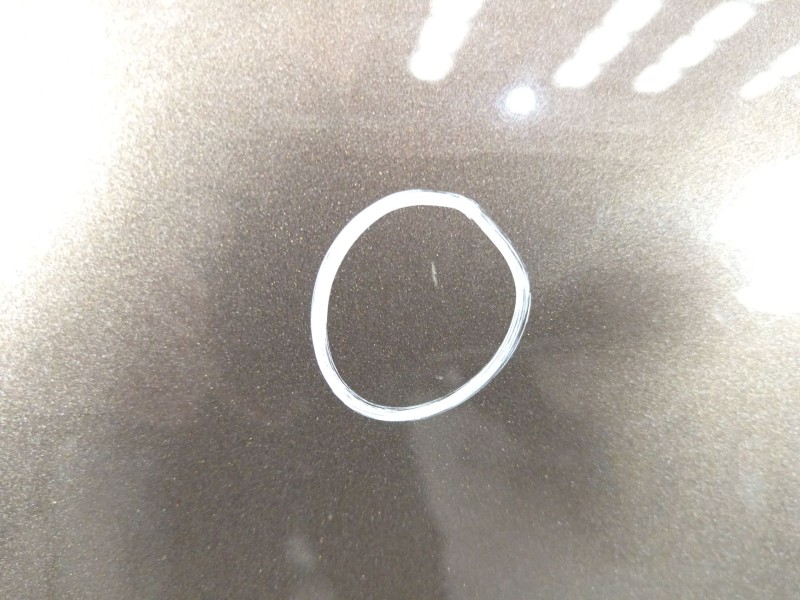 Recambio de capot para renault scénic iii (jz0/1_) 1.2 tce referencia OEM IAM 651008842R  