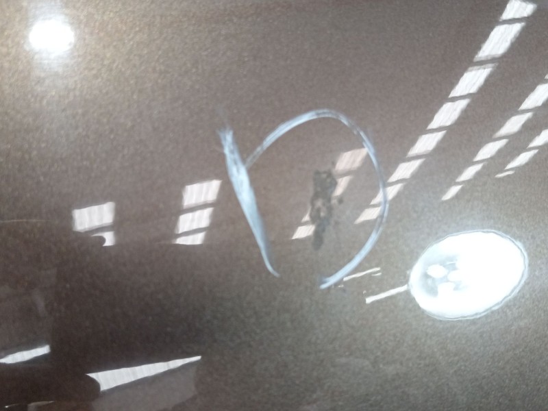 Recambio de puerta delantera derecha para renault scénic iii (jz0/1_) 1.2 tce referencia OEM IAM 801014883R  