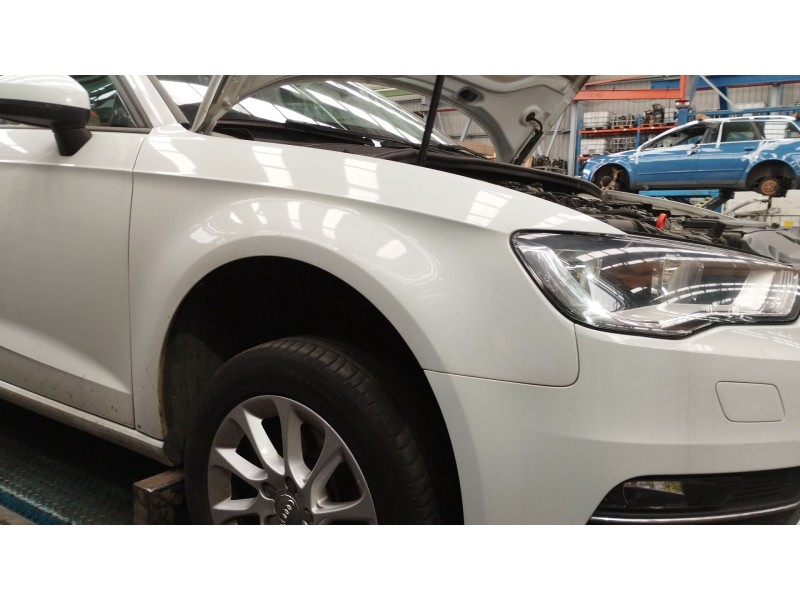 Recambio de aleta delantera derecha para audi a3 (8v1, 8vk) 1.6 tdi referencia OEM IAM   