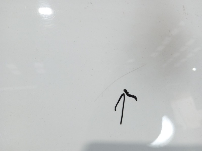 Recambio de capot para seat exeo st (3r5) 2.0 tdi referencia OEM IAM 3R0823031B  