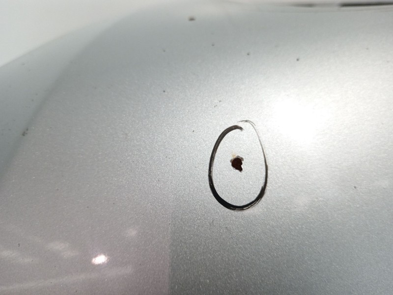 Recambio de capot para bmw x5 (e53) 3.0d referencia OEM IAM 41617008328  