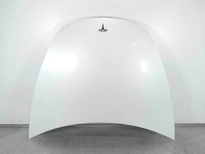 Recambio de capot para tesla model 3 ev referencia OEM IAM 1081390-EC-C  