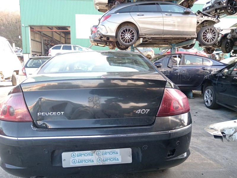 peugeot 407 (6d_) del año 2005