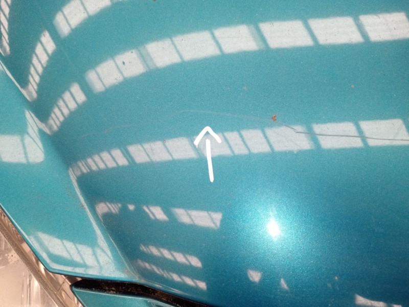 Recambio de capot para peugeot 207 cc (wd_) 1.6 hdi referencia OEM IAM 7901N2  