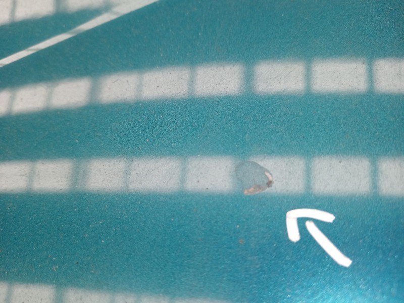 Recambio de capot para peugeot 207 cc (wd_) 1.6 hdi referencia OEM IAM 7901N2  