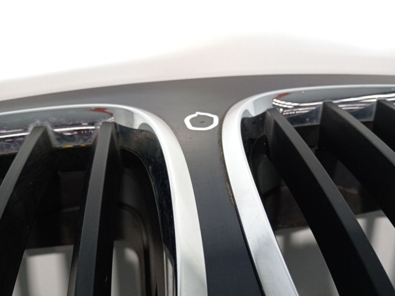 Recambio de capot para bmw x5 (e70) 3.0d referencia OEM IAM 41617486754  