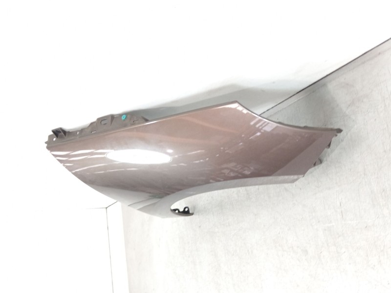 Recambio de aleta delantera derecha para renault scénic iii (jz0/1_) 1.2 tce referencia OEM IAM 631000970R  