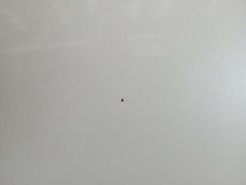 Recambio de capot para mazda 3 lim. () center-line referencia OEM IAM BHY05231XA  