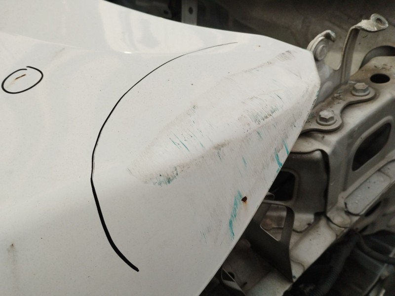 Recambio de capot para toyota verso active referencia OEM IAM   