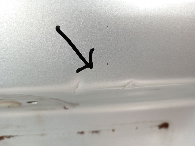 Recambio de porton trasero para renault kangoo express (fc0/1_) 1.5 dci referencia OEM IAM 7751472530  