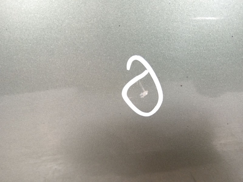 Recambio de puerta delantera derecha para peugeot partner tepee 1.6 hdi referencia OEM IAM 9004Z6  