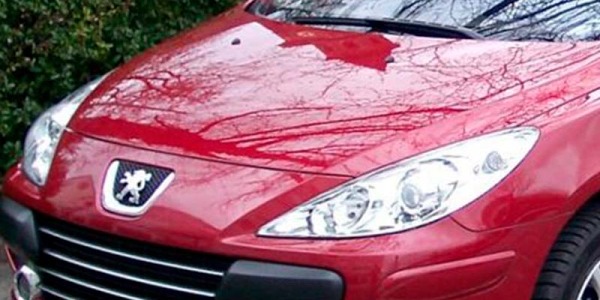 Desguace especializado en Peugeot 307 - El stock más amplio