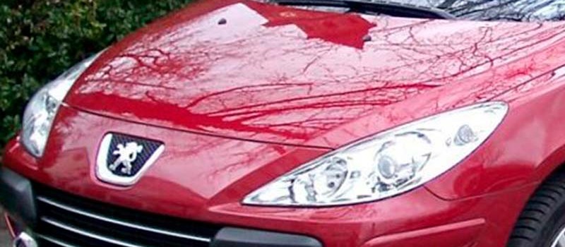 Desguace especializado en Peugeot 307 - El stock más amplio